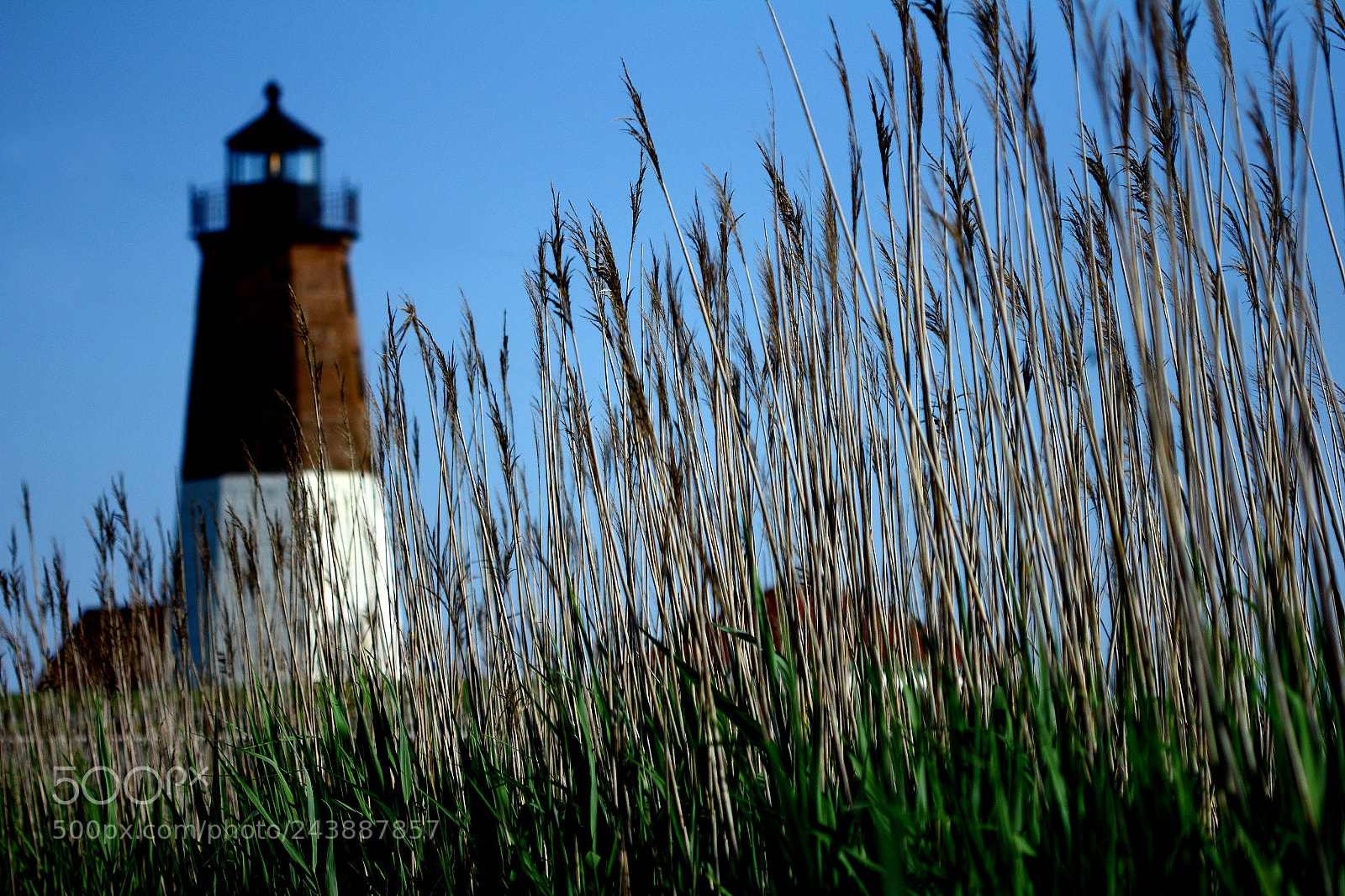 Canon EOS 60D sample photo. Pt judith lighthouse ri photography