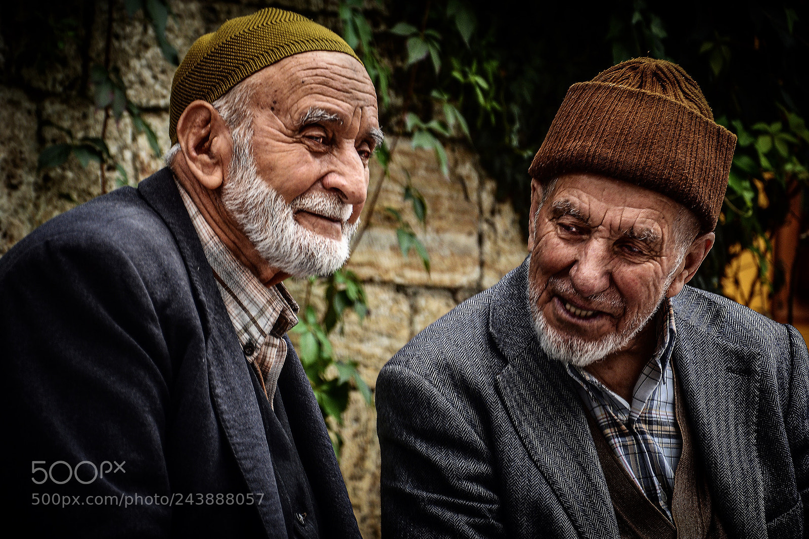 Nikon D7100 sample photo. Old friends photography
