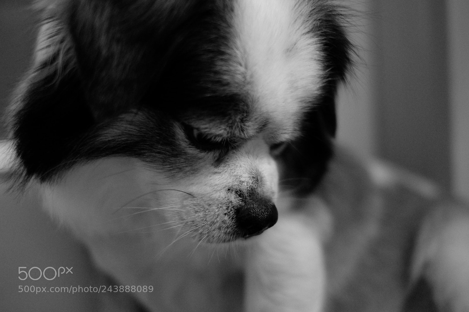 Fujifilm X-T1 sample photo. 20243046090.jpg photography