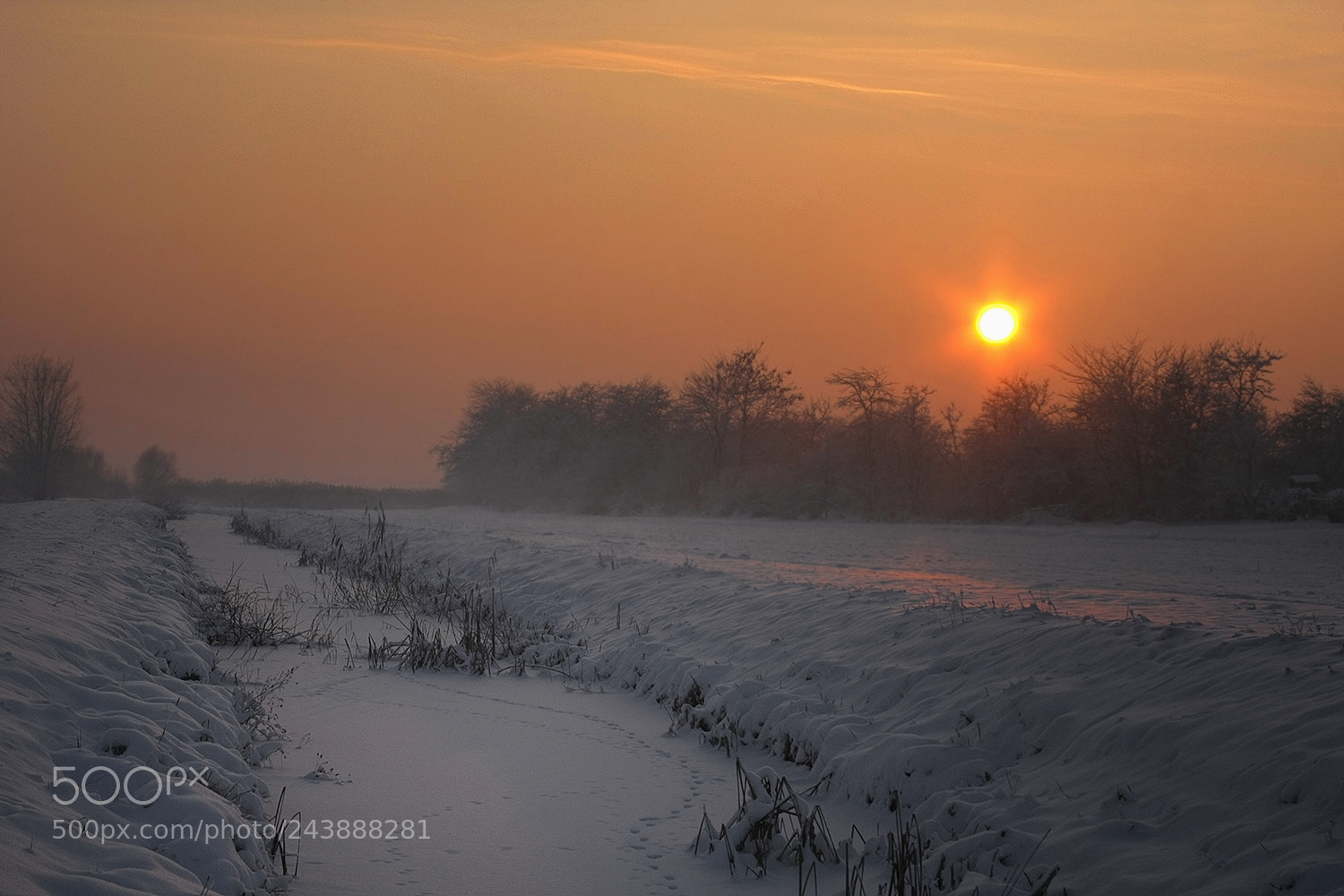 Canon EOS 40D sample photo. Frozen sun photography