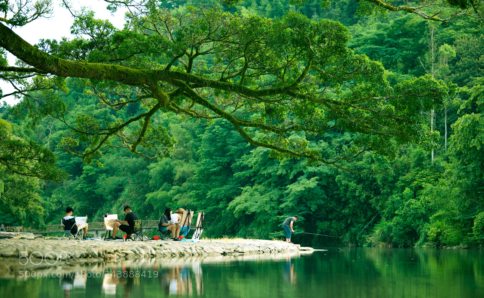 Nikon D3X sample photo. 绿野 photography