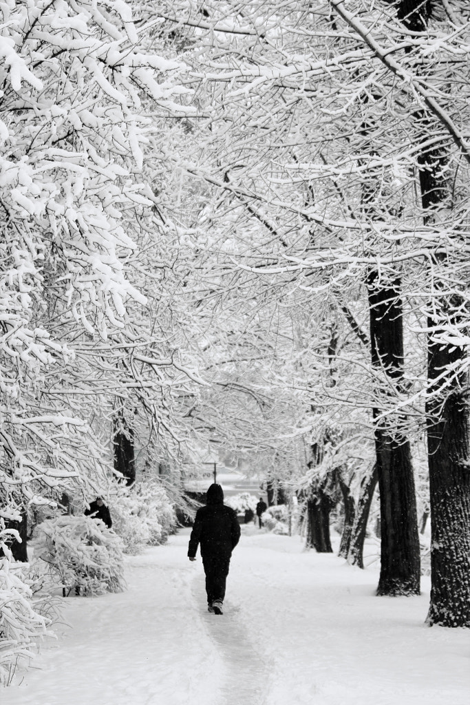 Walking in the snow by Vladislav Lezhaisky on 500px.com