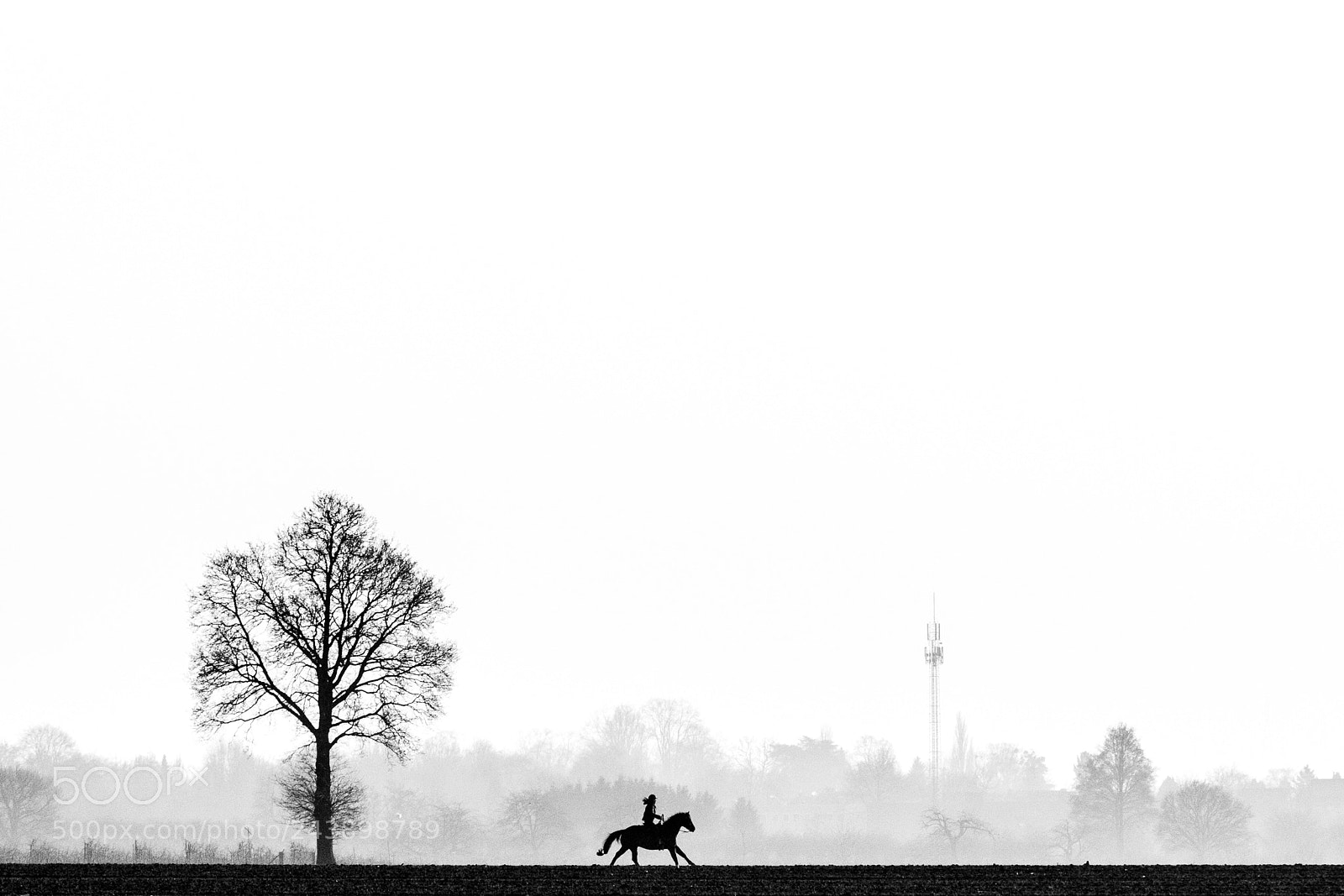 Canon EOS 7D Mark II sample photo. B&w photography