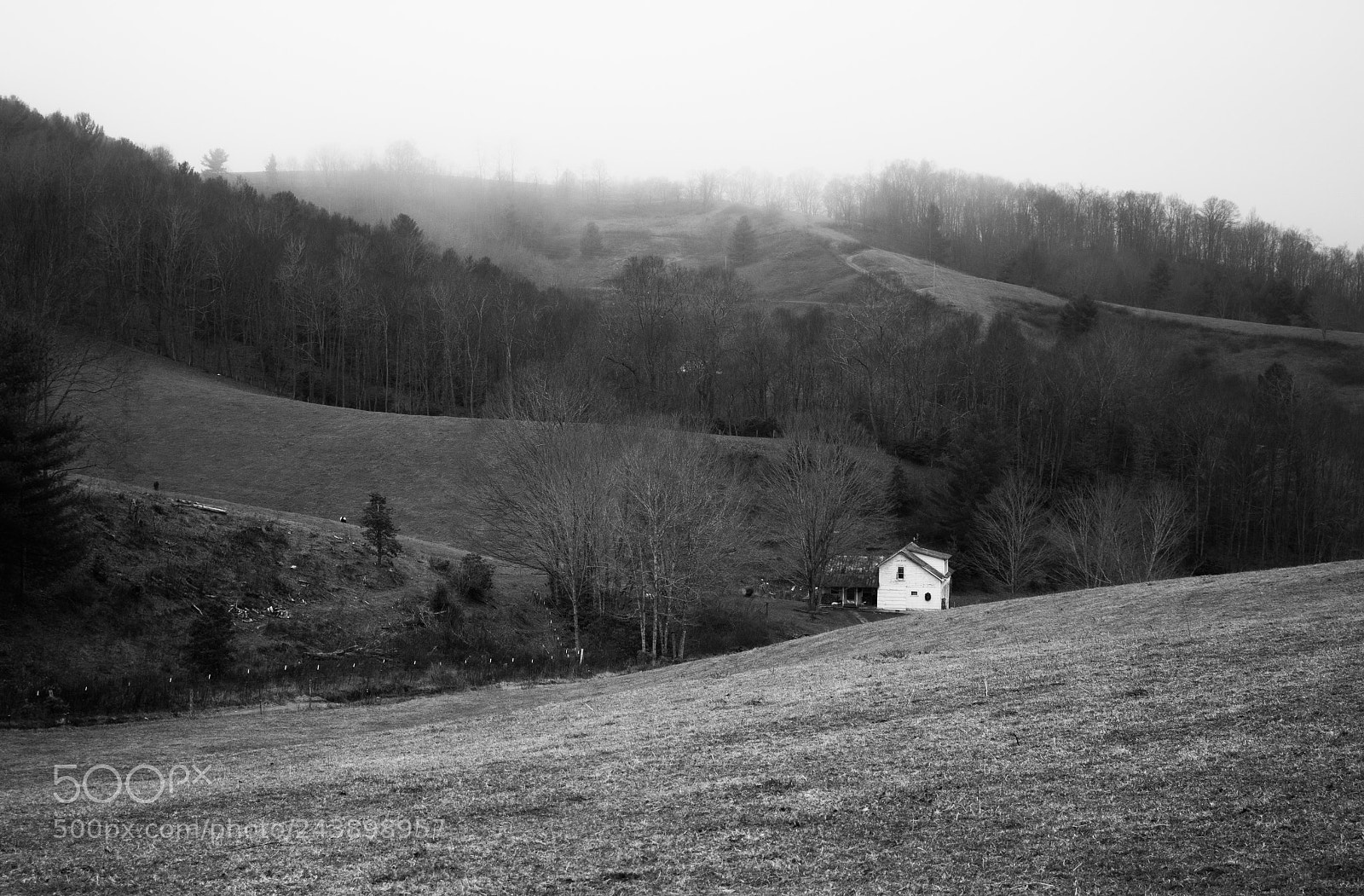 Canon EOS 700D (EOS Rebel T5i / EOS Kiss X7i) sample photo. White house on black photography