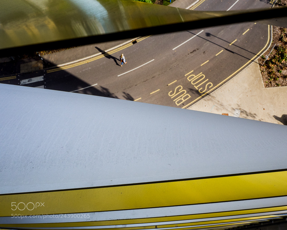 Olympus OM-D E-M1 sample photo. Yellow photography