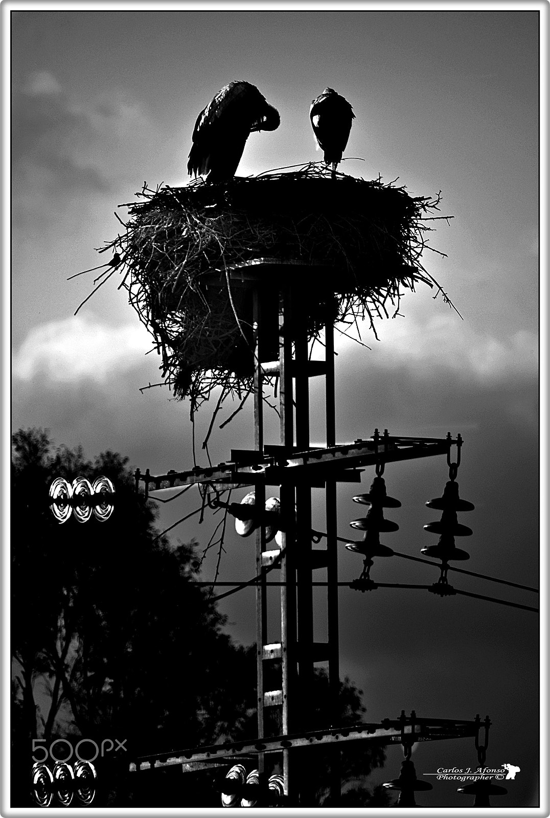 Nikon D90 sample photo. Naturaleza viva photography