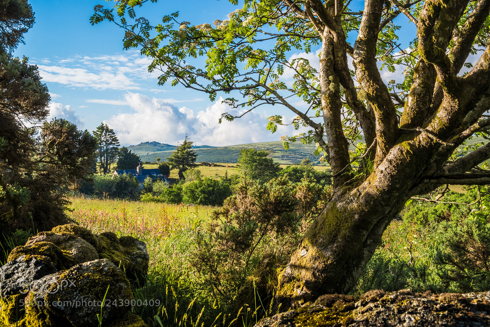 Nikon D610 sample photo. View across the moor photography