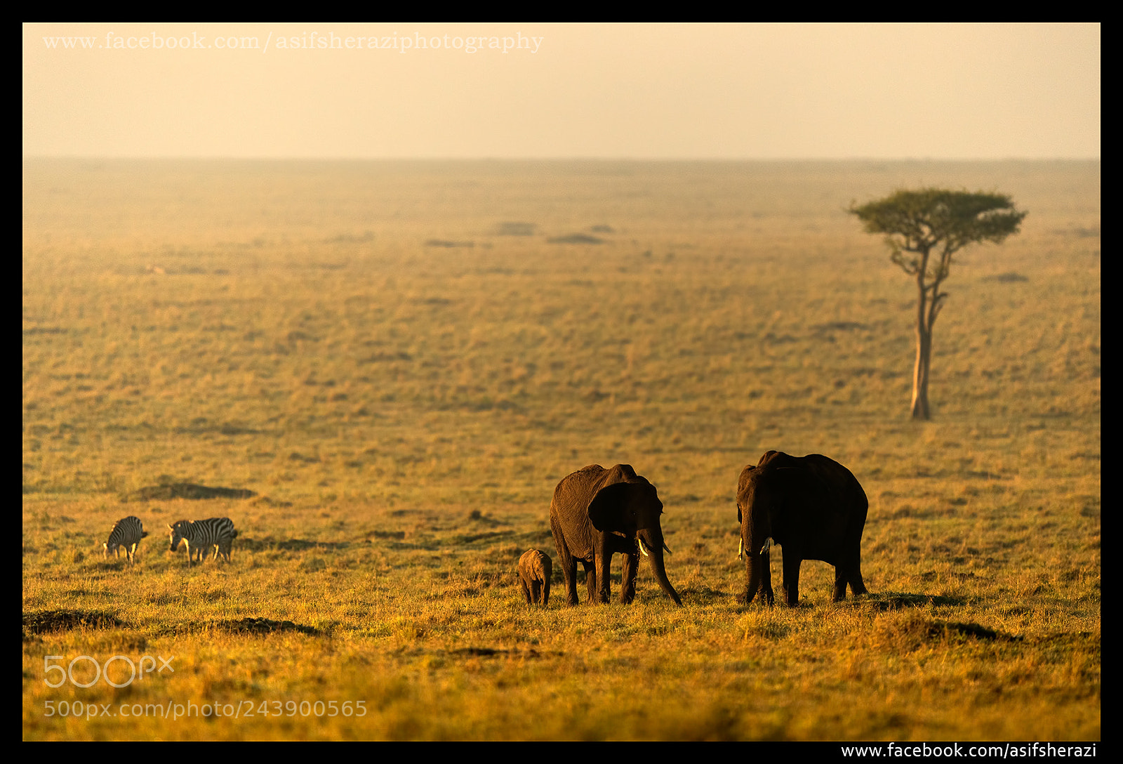 Nikon D5 sample photo. Beauty of the nature photography