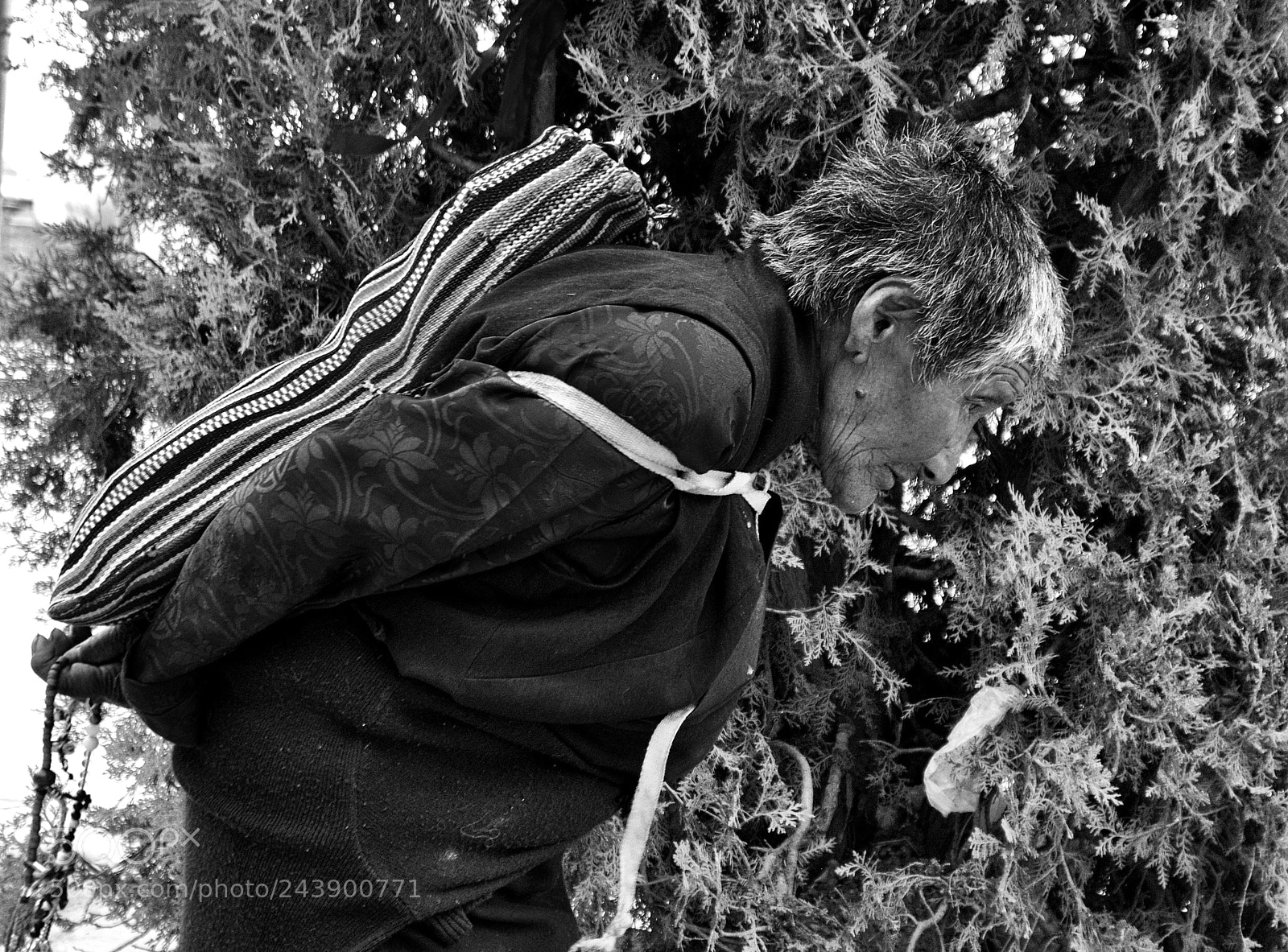 Nikon D90 sample photo. Tibet pelerin photography