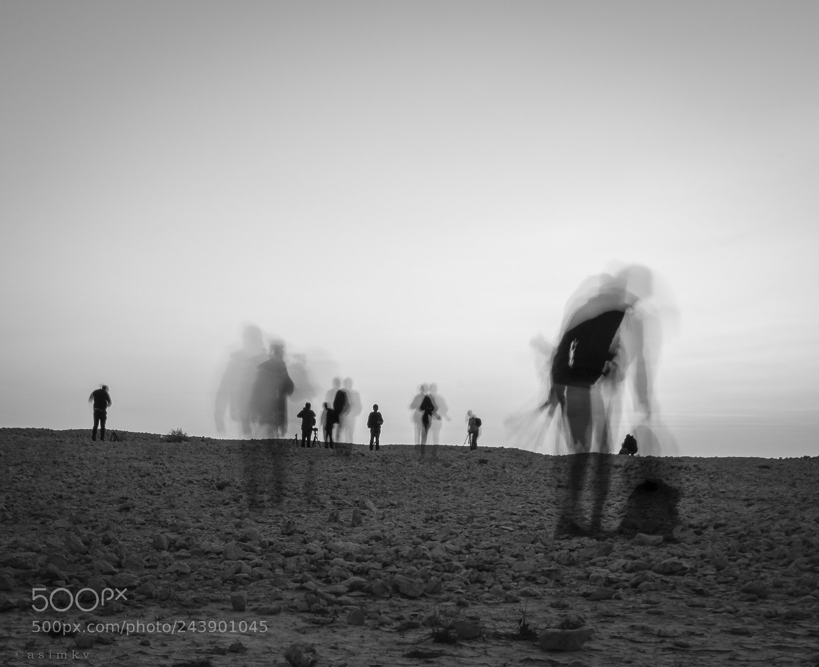 Nikon D810 sample photo. Candid photography