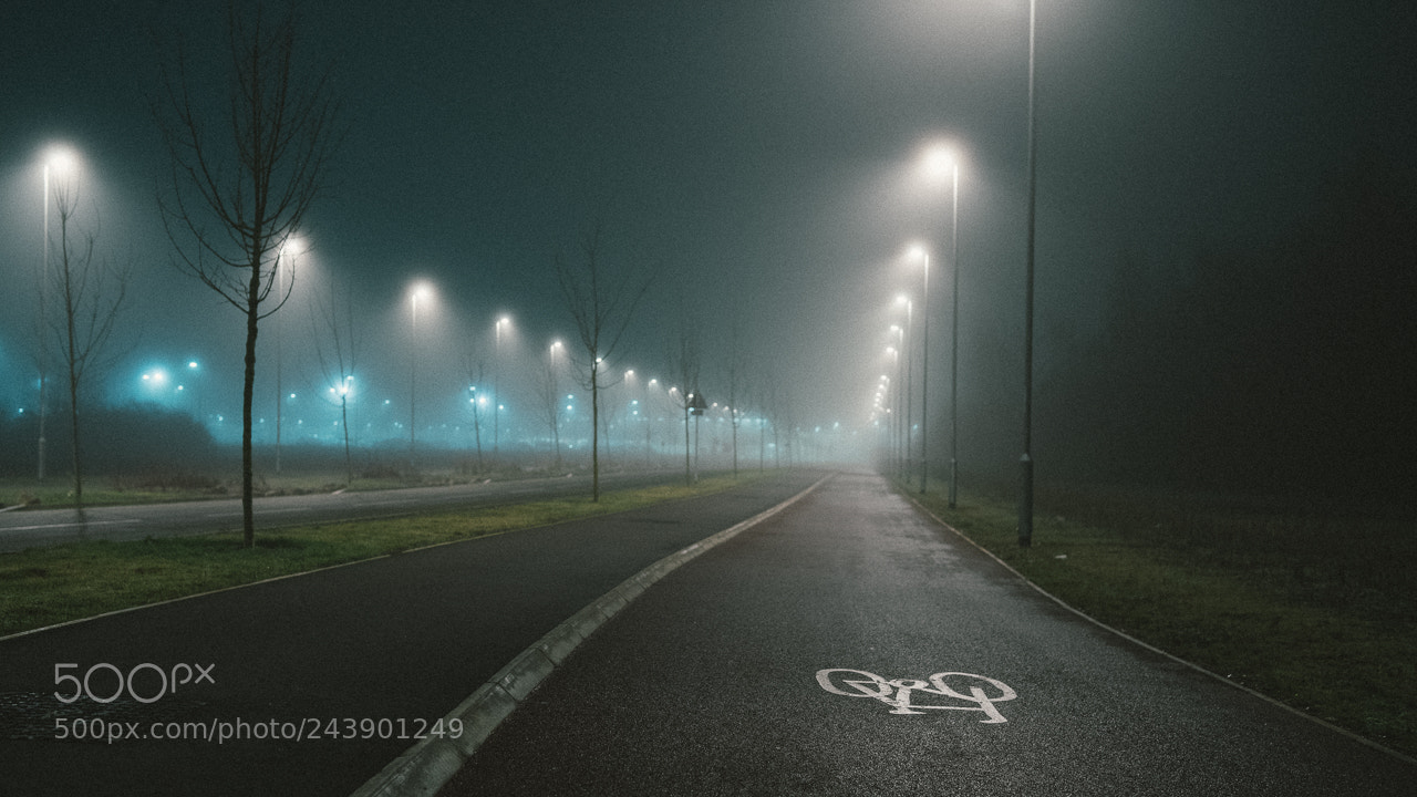 Sony a7R II sample photo. Early fog photography