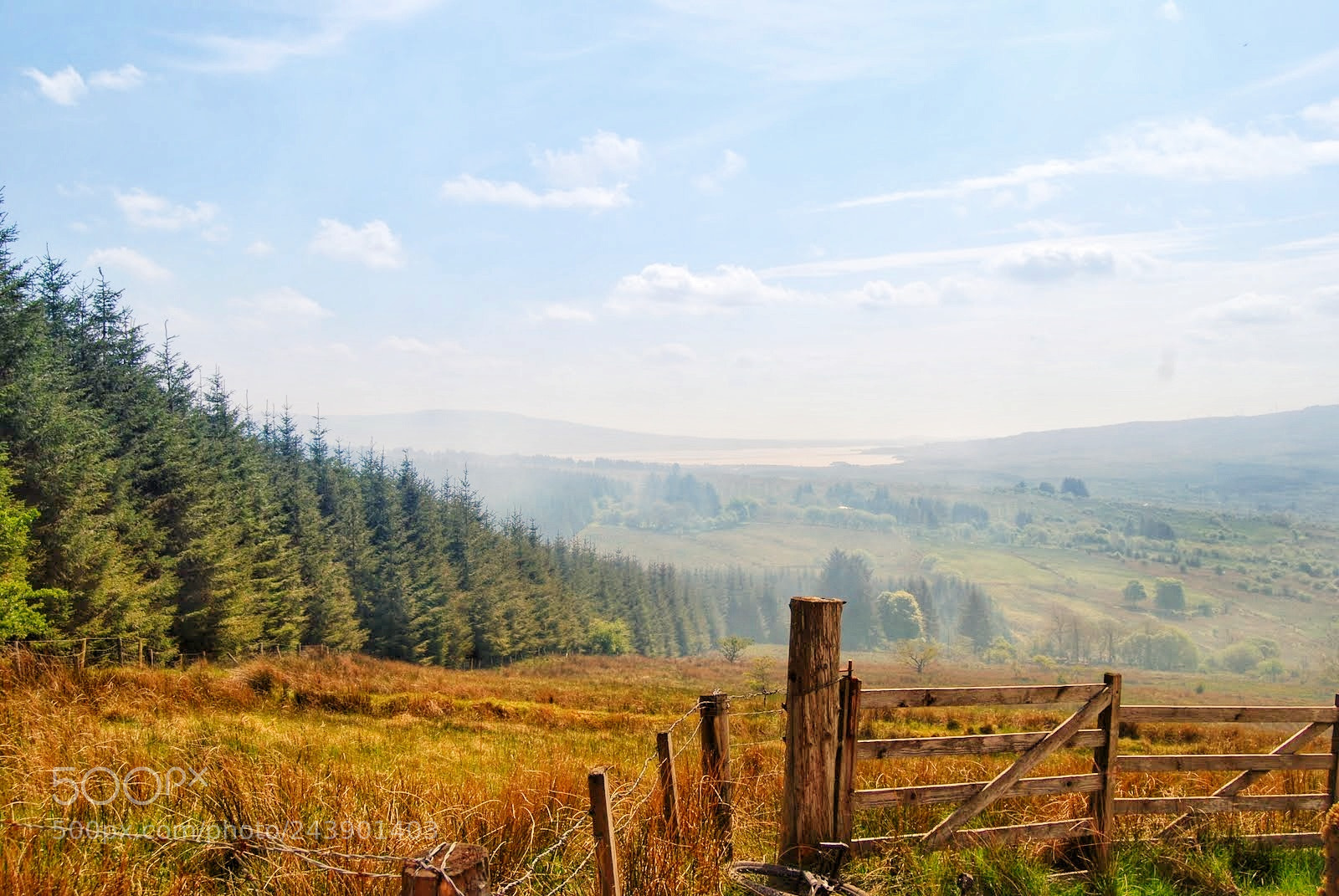 Nikon D40X sample photo. Morning mist co. leitrim photography