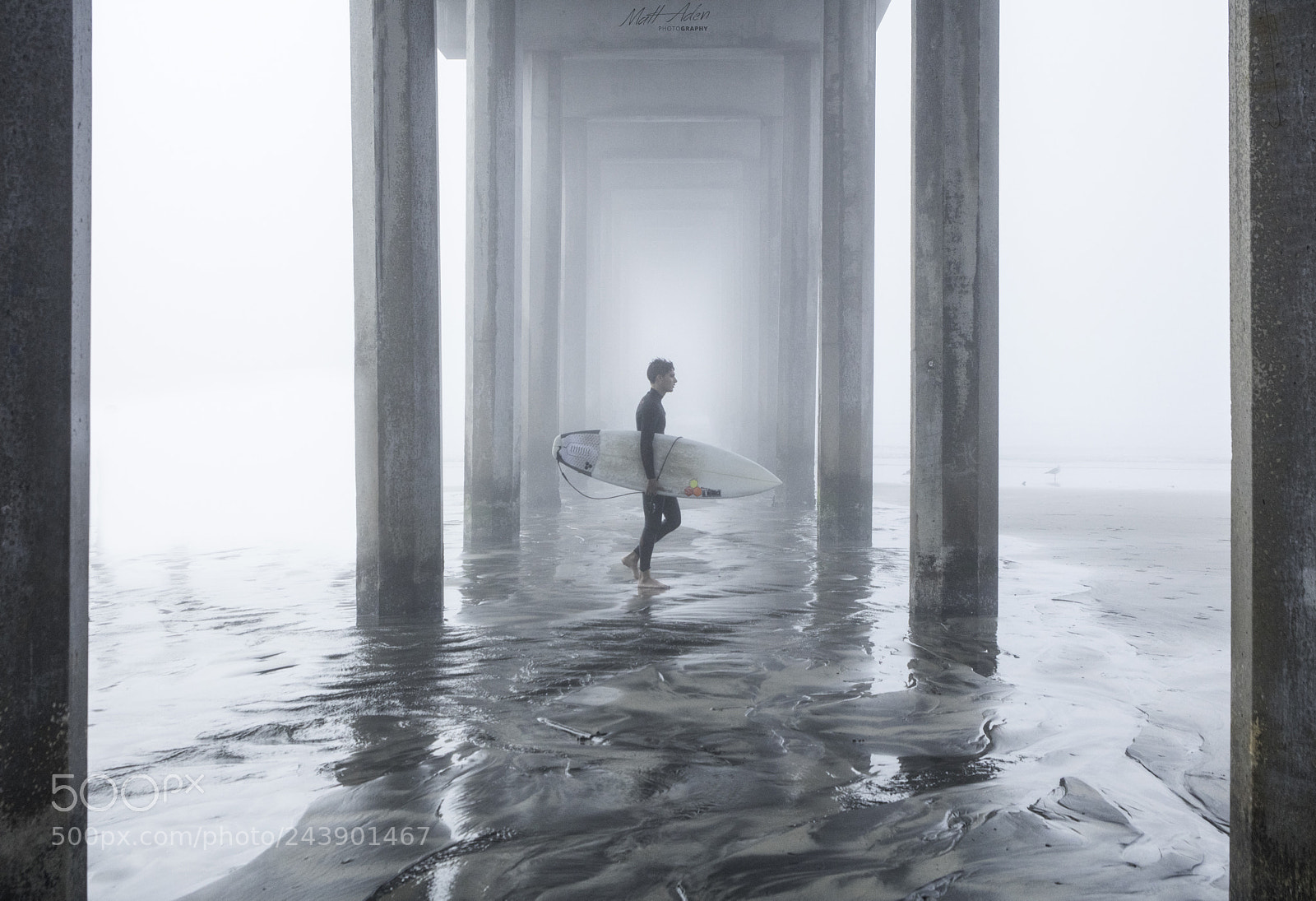 Canon EOS 5DS sample photo. Into the fog photography