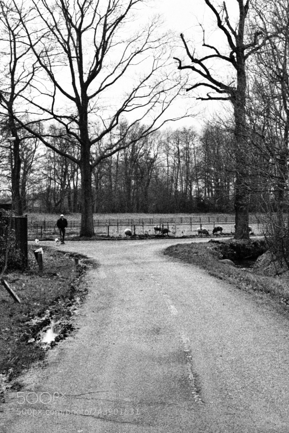 Nikon D5500 sample photo. Countryside photography
