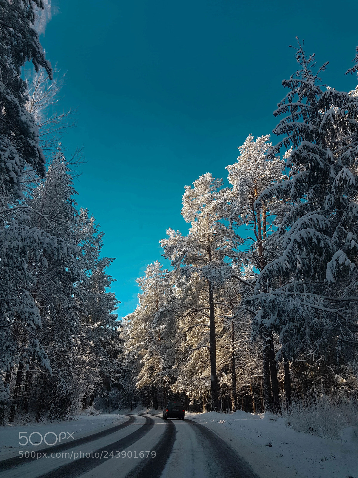 Samsung Galaxy S8+ sample photo. Winter tale photography