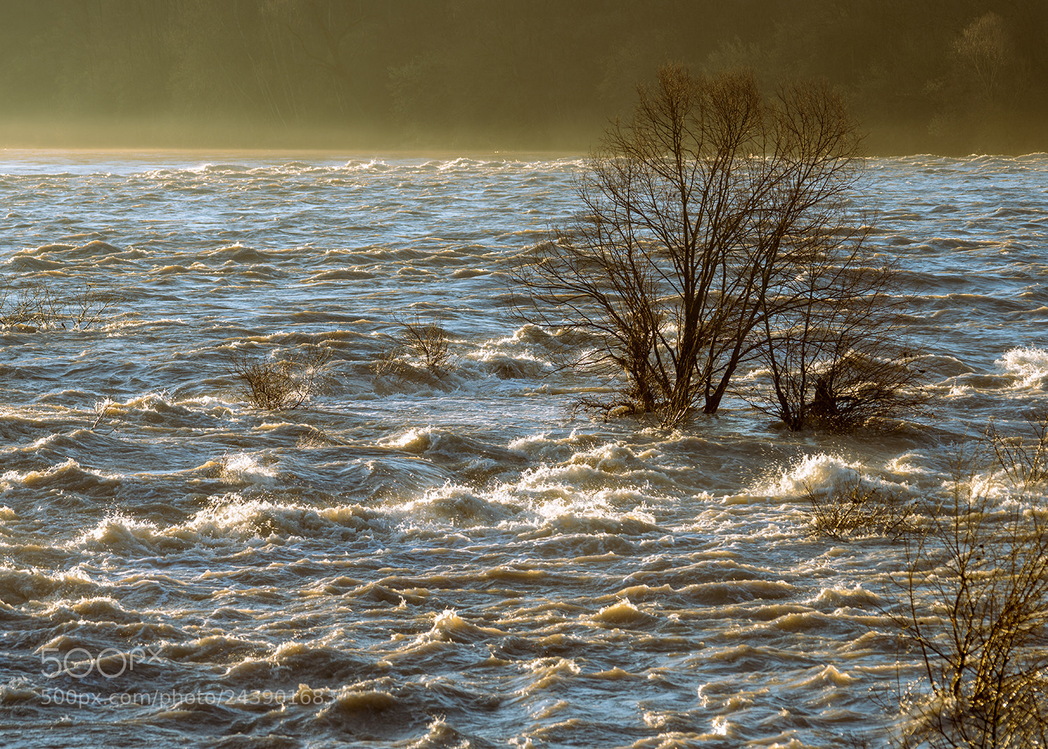 Sony a7R II sample photo. At the river photography