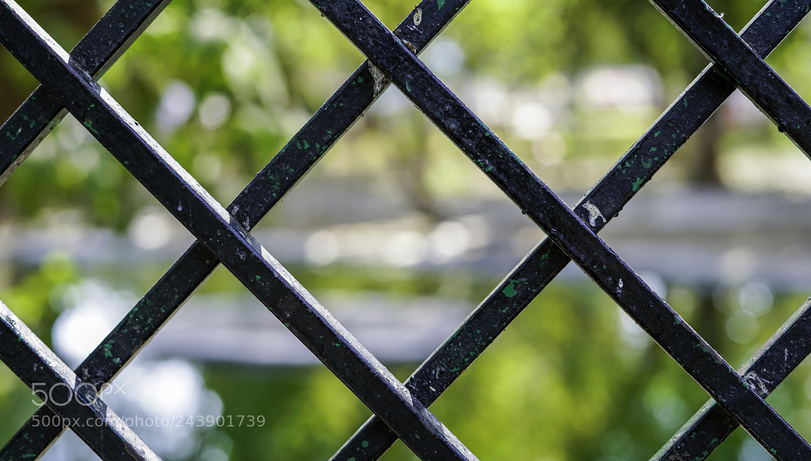 Sony a7R II sample photo. Through net photography