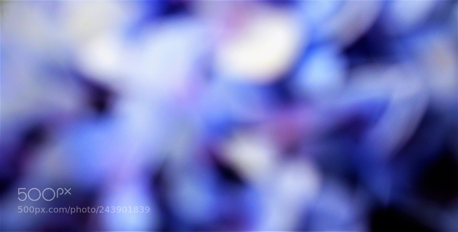 Panasonic Lumix DMC-ZS30 (Lumix DMC-TZ40) sample photo. Psychedelic colours . photography