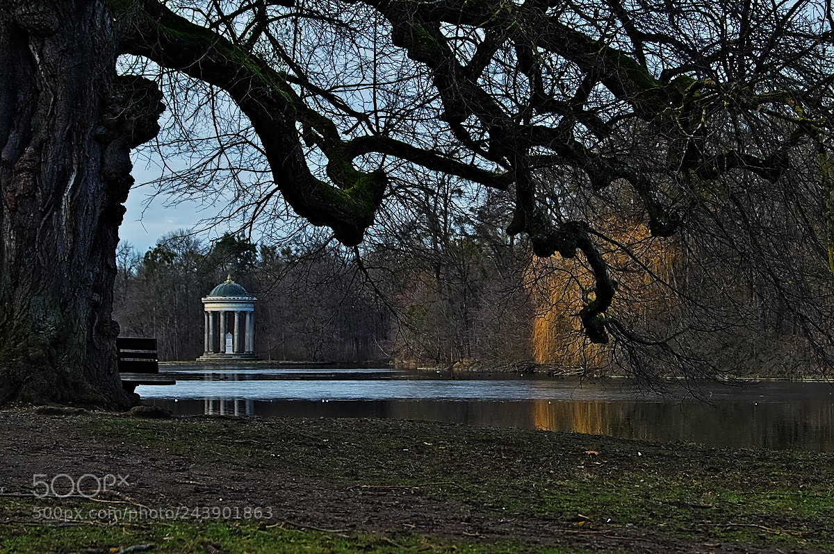 Sony SLT-A58 sample photo. Nymphenburger park photography