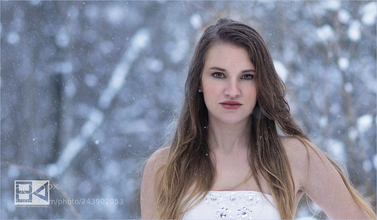 Nikon D800 sample photo. Snow sensation photography