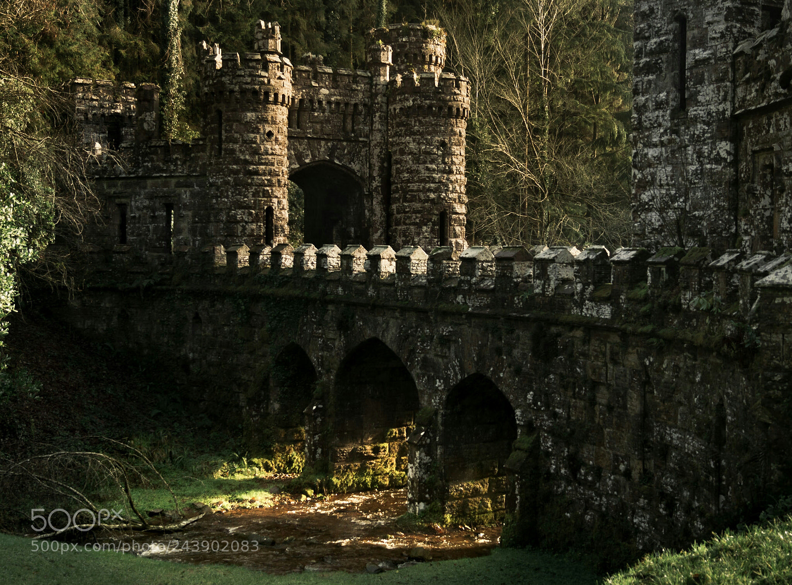 Sony SLT-A58 sample photo. Ballysaggartmore towers photography