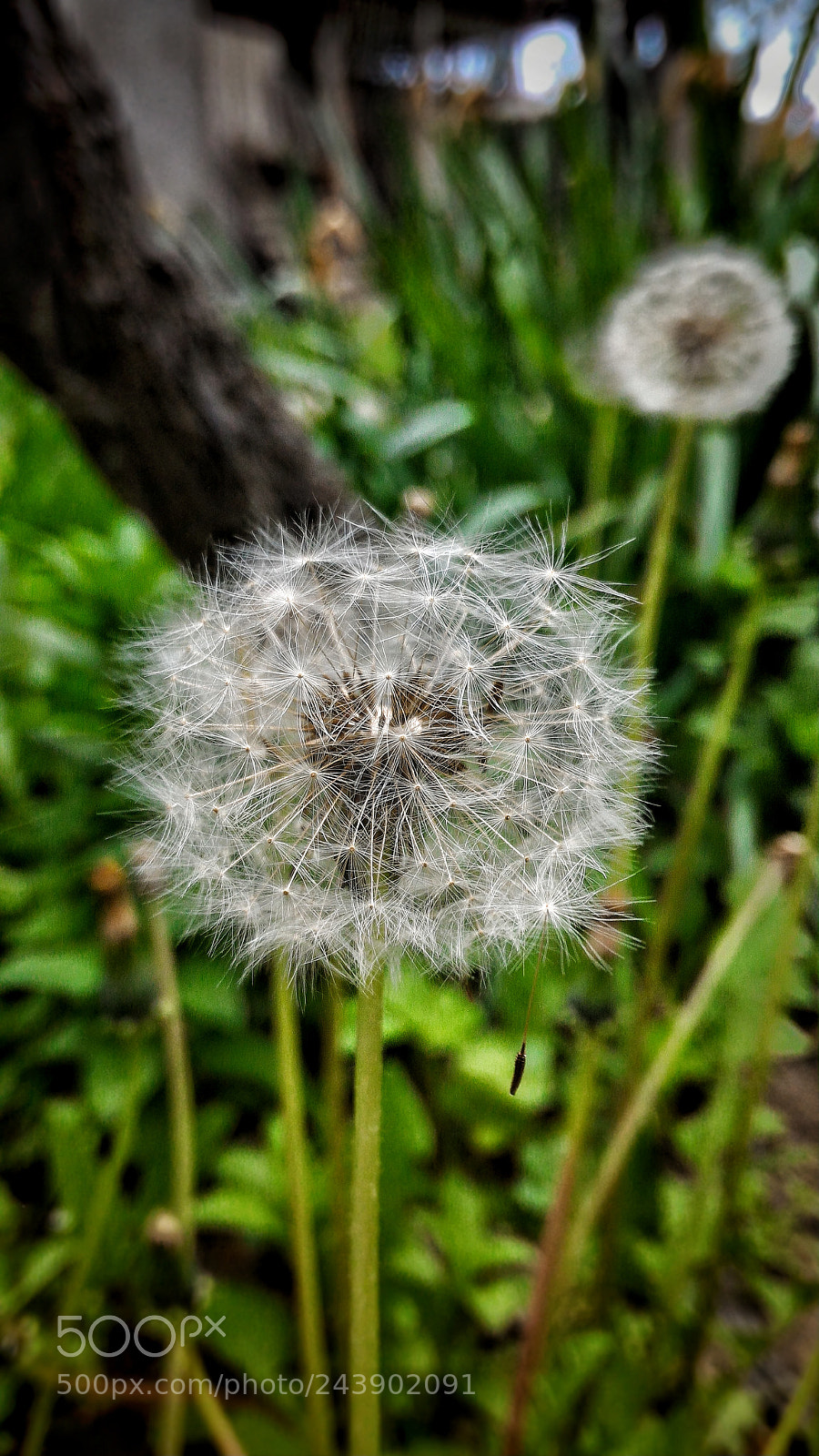 ASUS ZenFone 2 (ZE551ML) sample photo. Jpeg photography