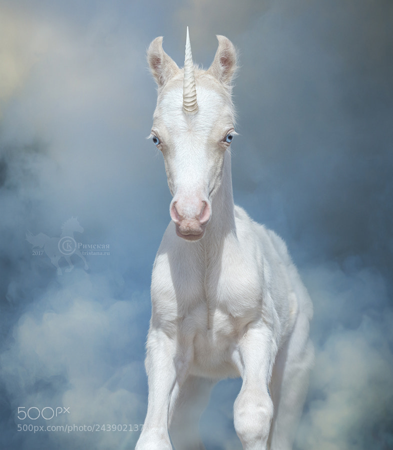 Canon EOS 7D Mark II sample photo. Newborn unicorn with blue photography
