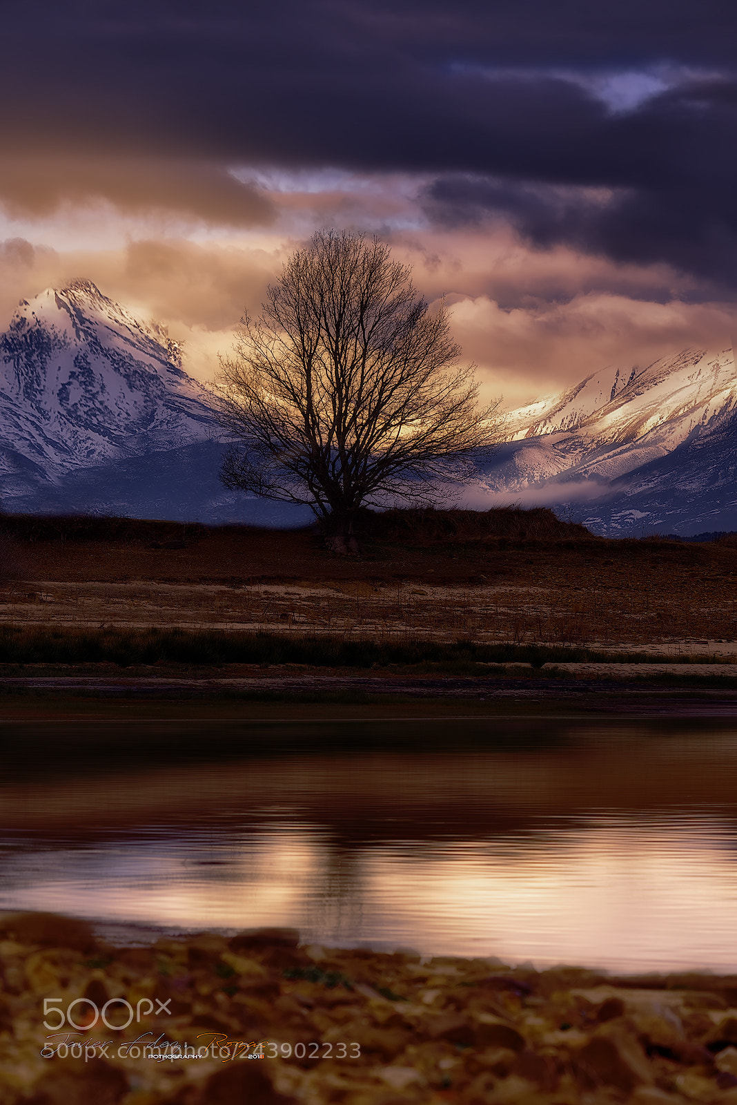 Nikon D800 sample photo. Pantano del ebro photography