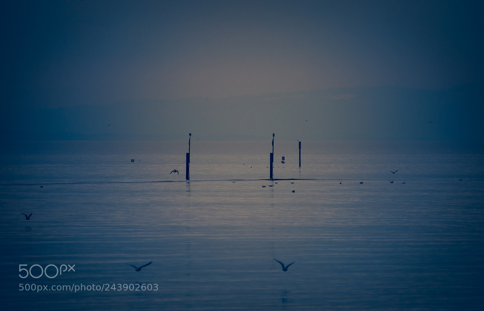 Nikon D4 sample photo. Lake constance photography