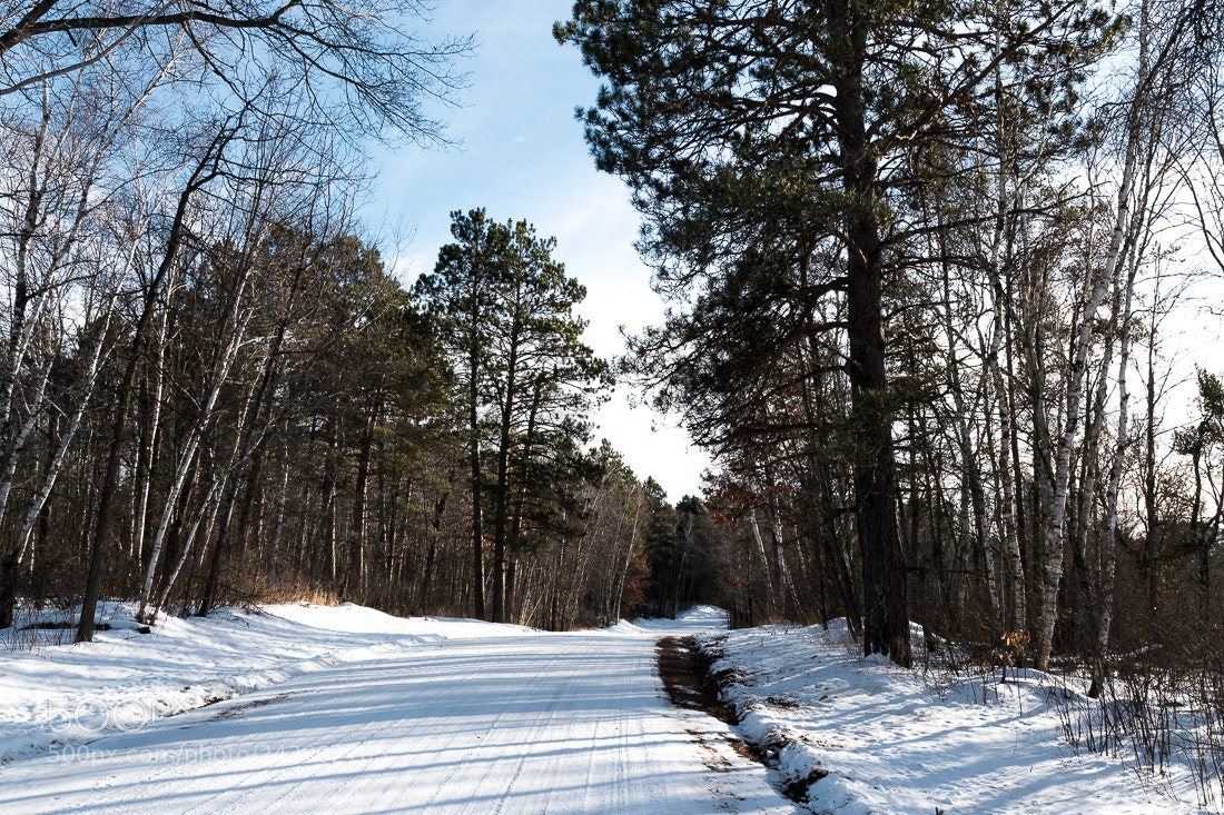 Nikon D5500 sample photo. Winter road, pine river photography