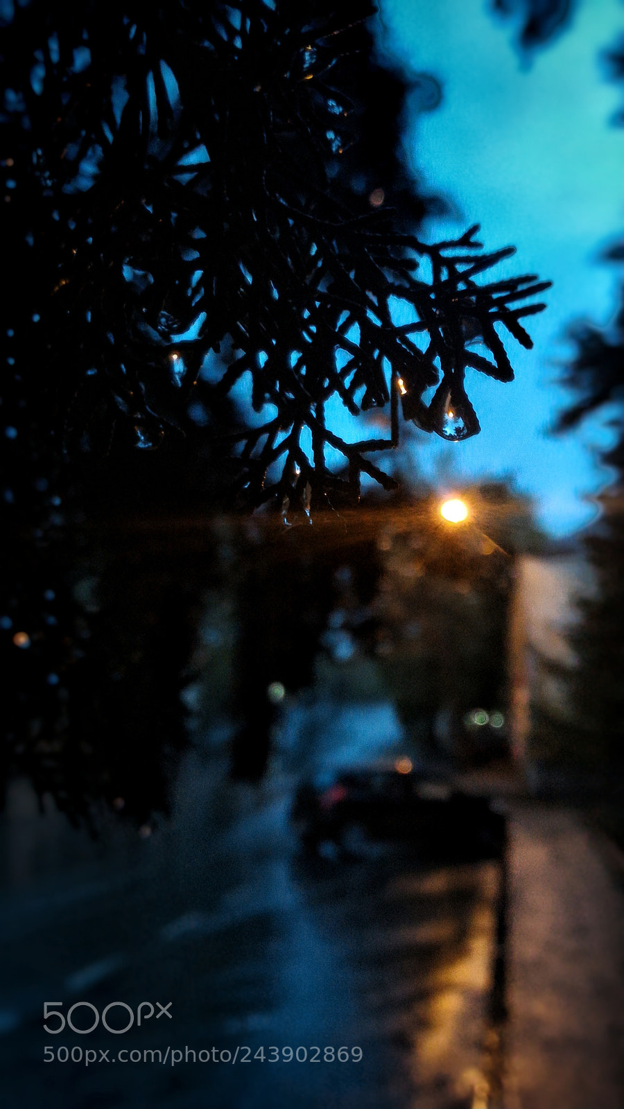 ASUS ZenFone 2 (ZE551ML) sample photo. Jpeg photography