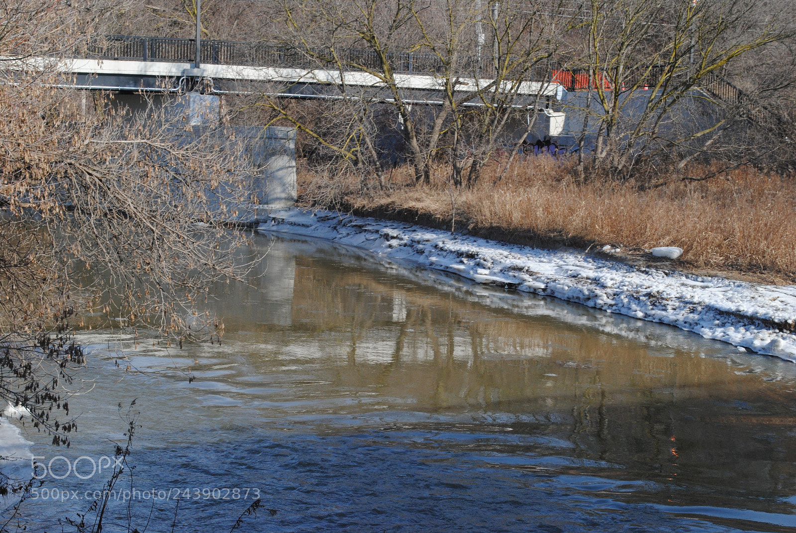 Nikon D3000 sample photo. [] photography