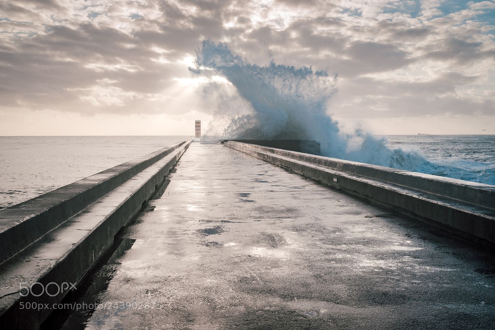 Sony a7 II sample photo. Blue splash over yellow photography