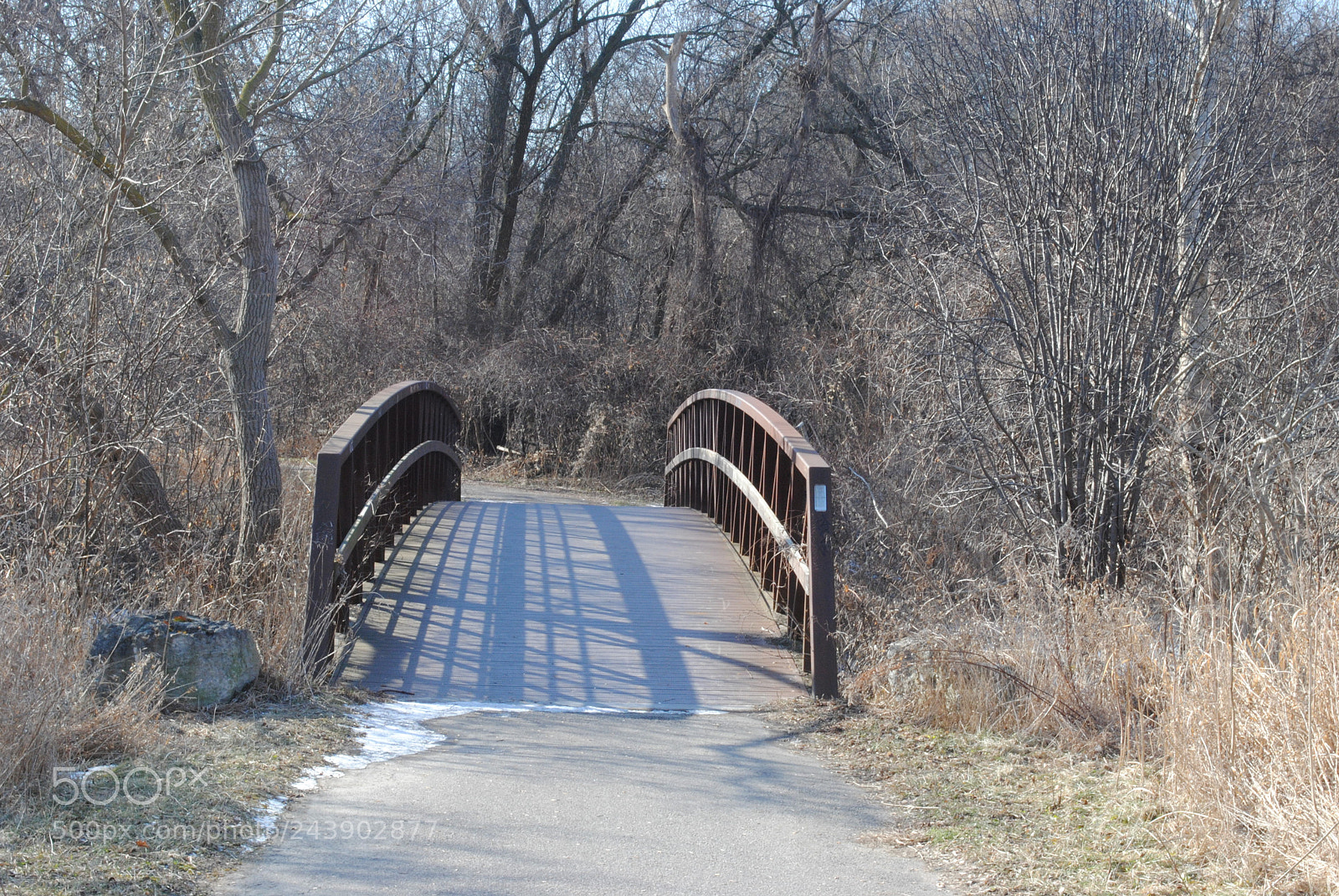 Nikon D3000 sample photo. [] photography
