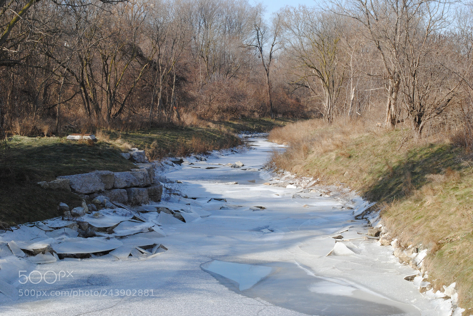Nikon D3000 sample photo. [] photography