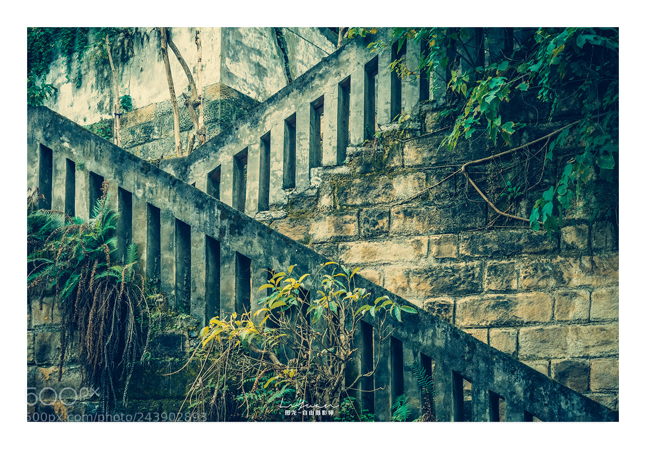 Sony a7 II sample photo. Untitled photography