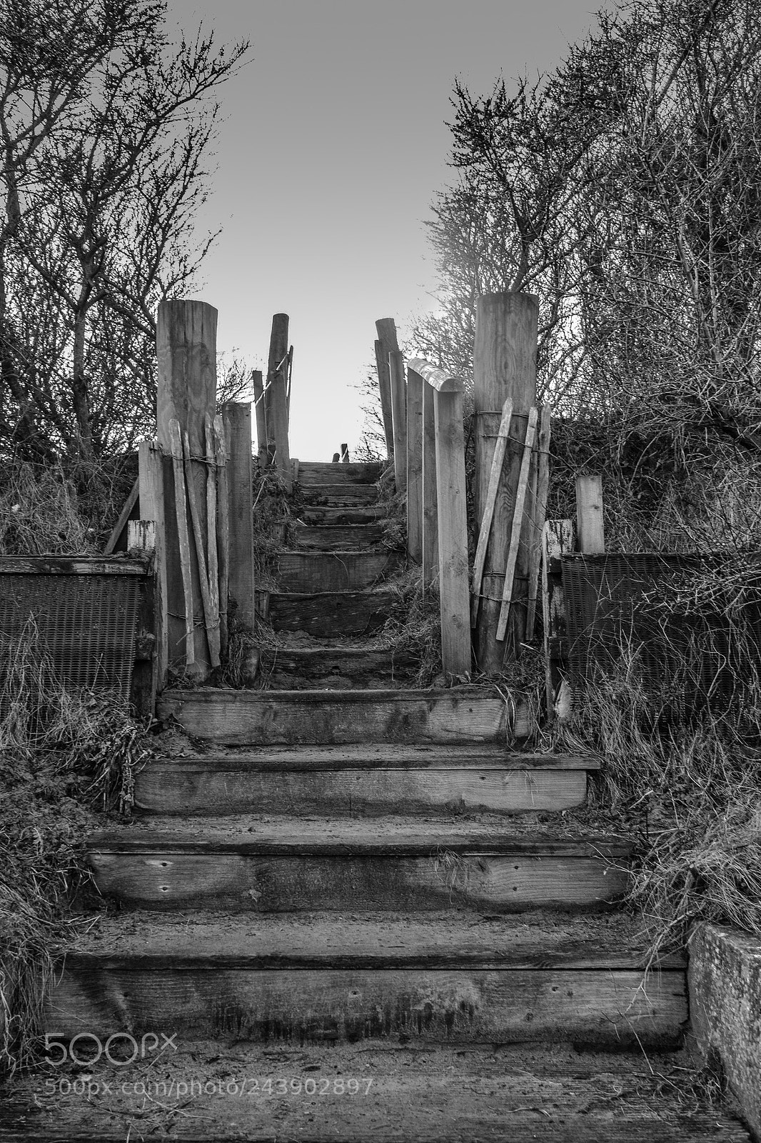 Canon EOS 1200D (EOS Rebel T5 / EOS Kiss X70 / EOS Hi) sample photo. Wooden stairs leading in photography