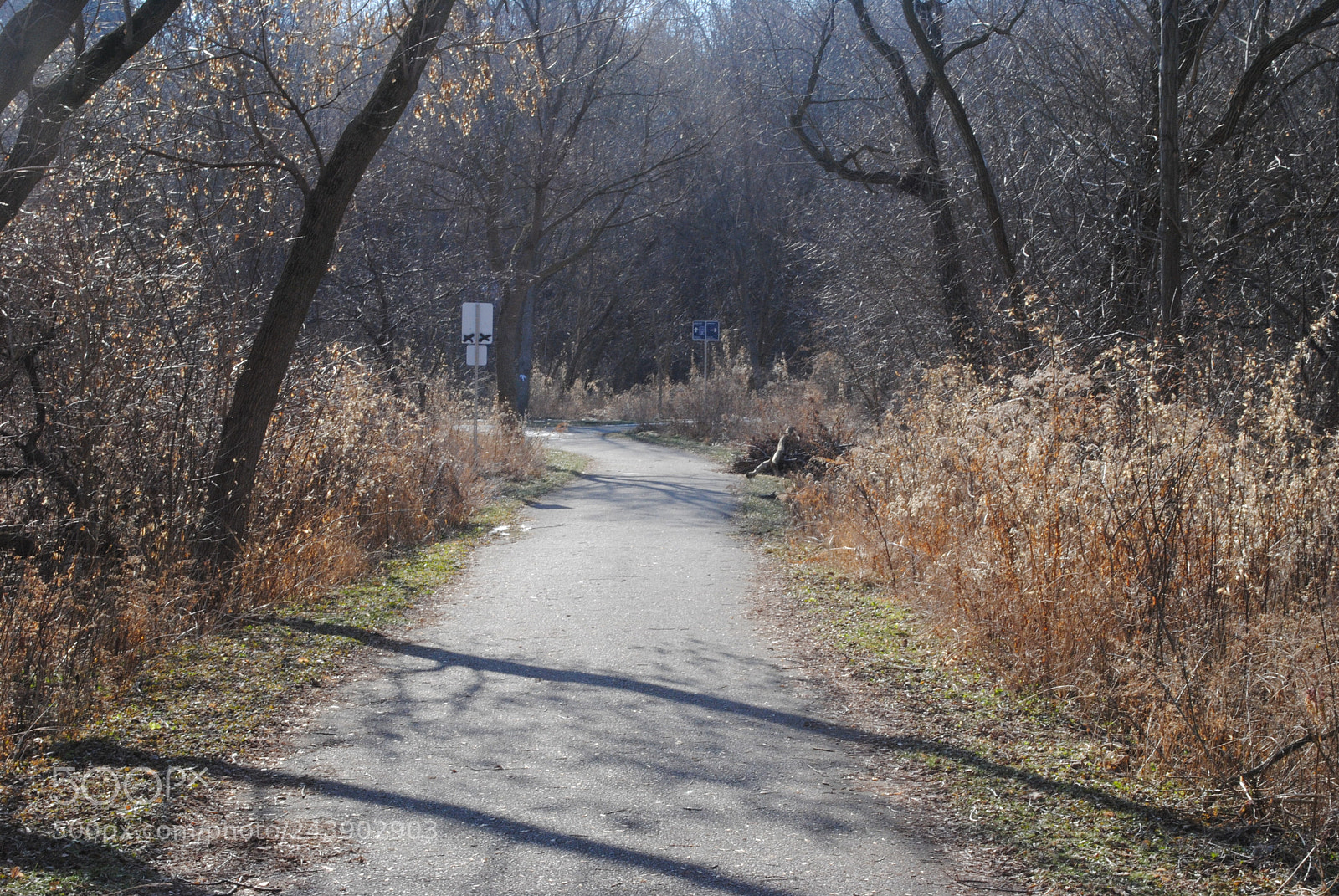 Nikon D3000 sample photo. [] photography