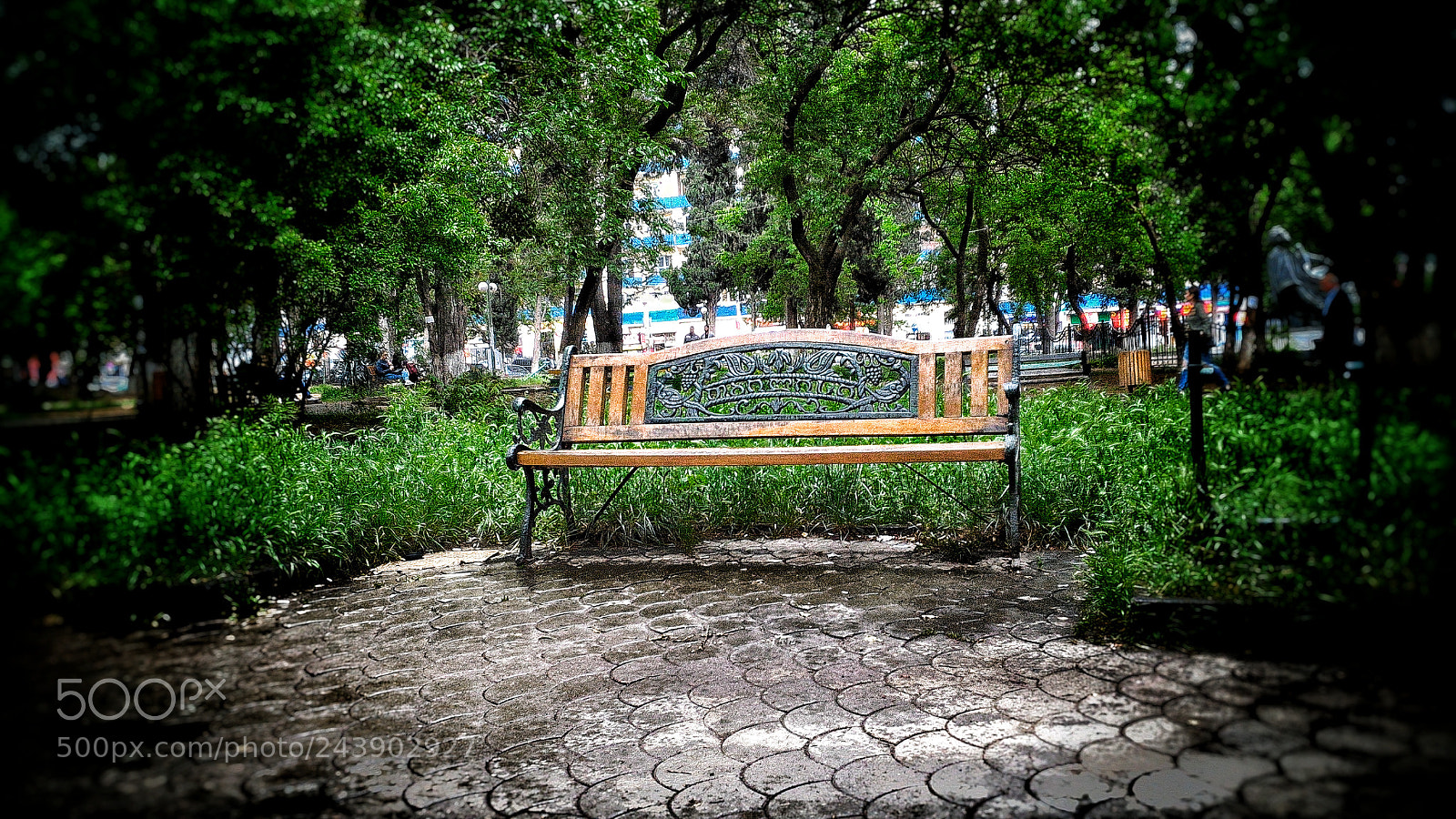 ASUS ZenFone 2 (ZE551ML) sample photo. Jpeg photography