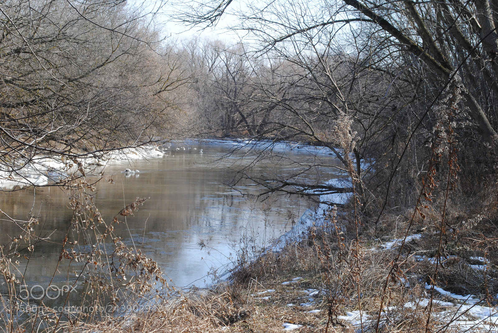 Nikon D3000 sample photo. [] photography