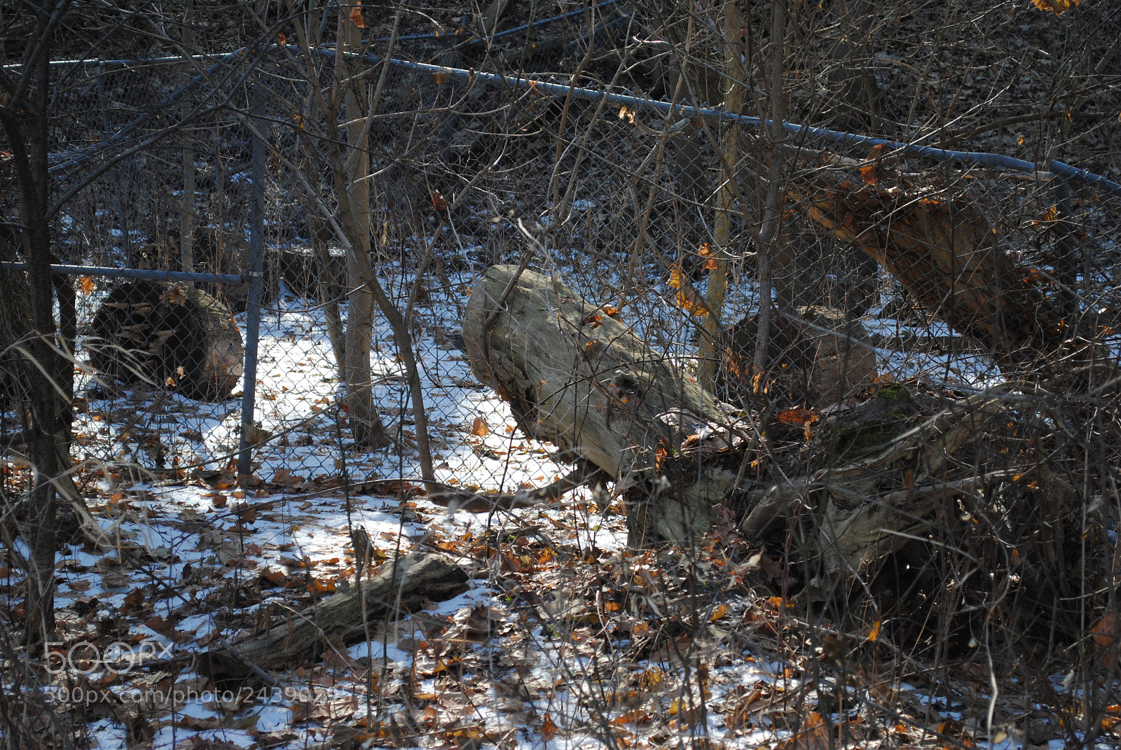 Nikon D3000 sample photo. [] photography