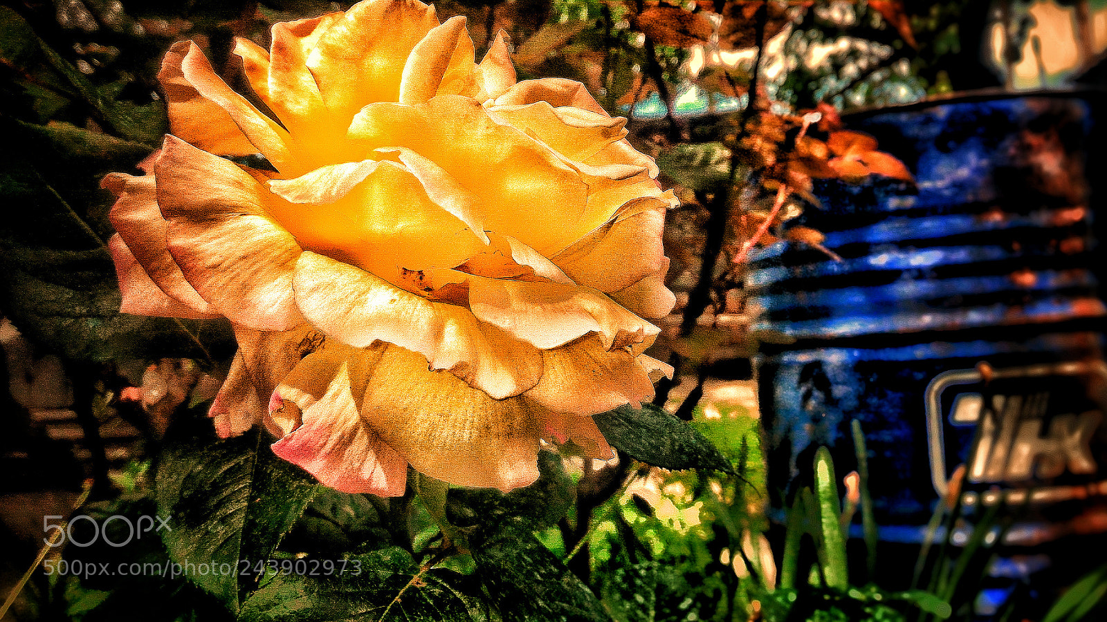 ASUS ZenFone 2 (ZE551ML) sample photo. Jpeg photography