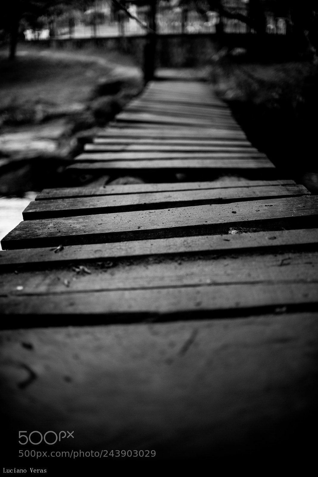 Nikon D610 sample photo. Abstrato photography