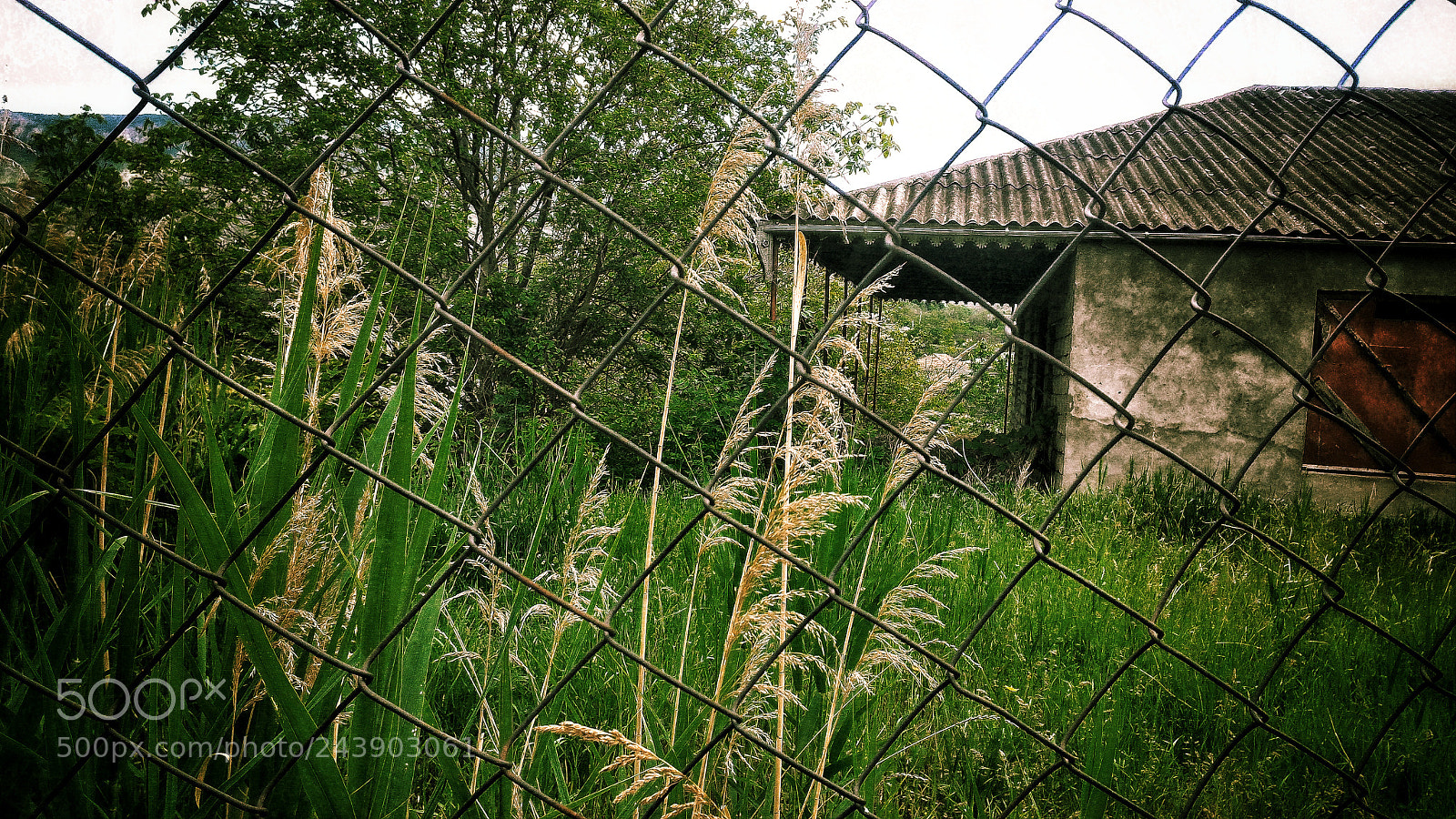 ASUS ZenFone 2 (ZE551ML) sample photo. Jpeg photography