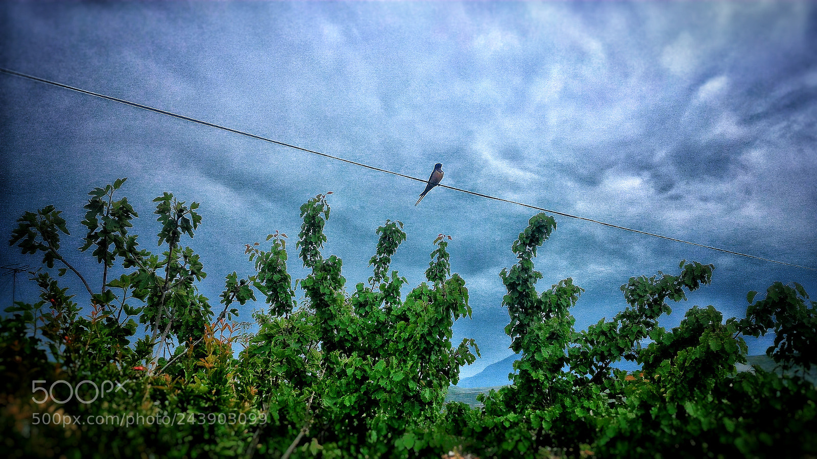 ASUS ZenFone 2 (ZE551ML) sample photo. Jpeg photography