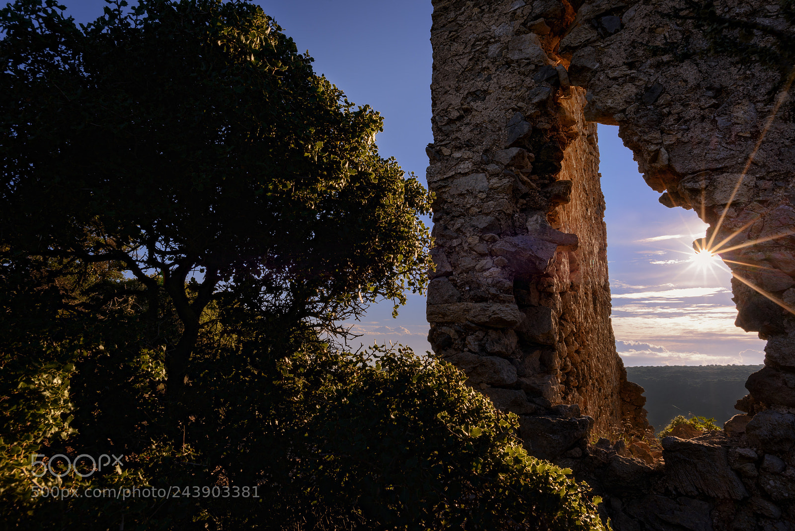 Nikon D800 sample photo. The window photography
