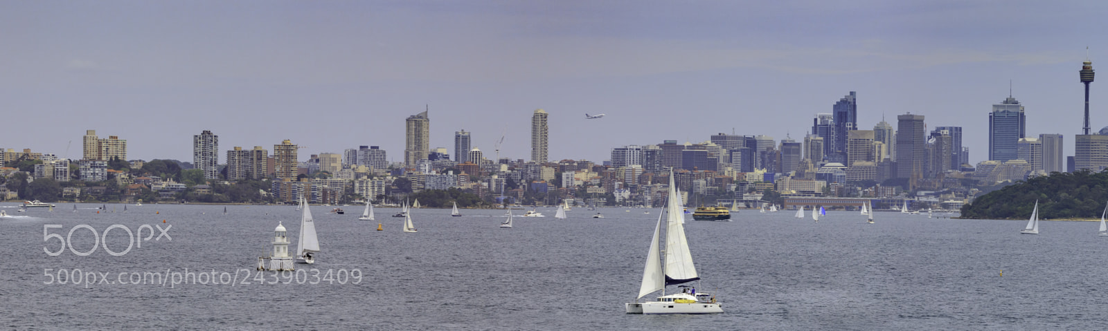 Canon EOS 5DS sample photo. Sydney panoramic view photography