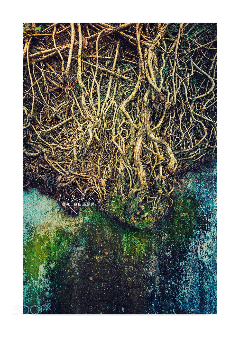 Sony a7 II sample photo. Untitled photography
