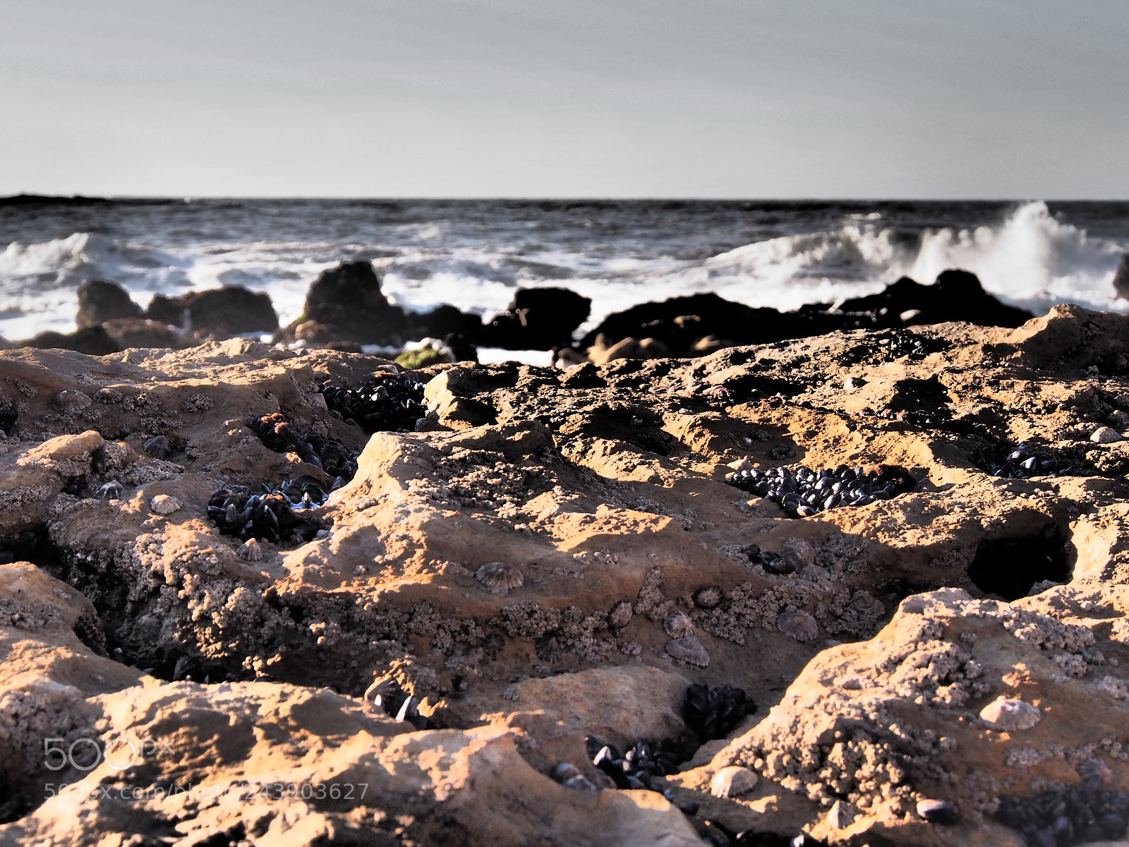Olympus OM-D E-M5 sample photo. Rocky coastline photography