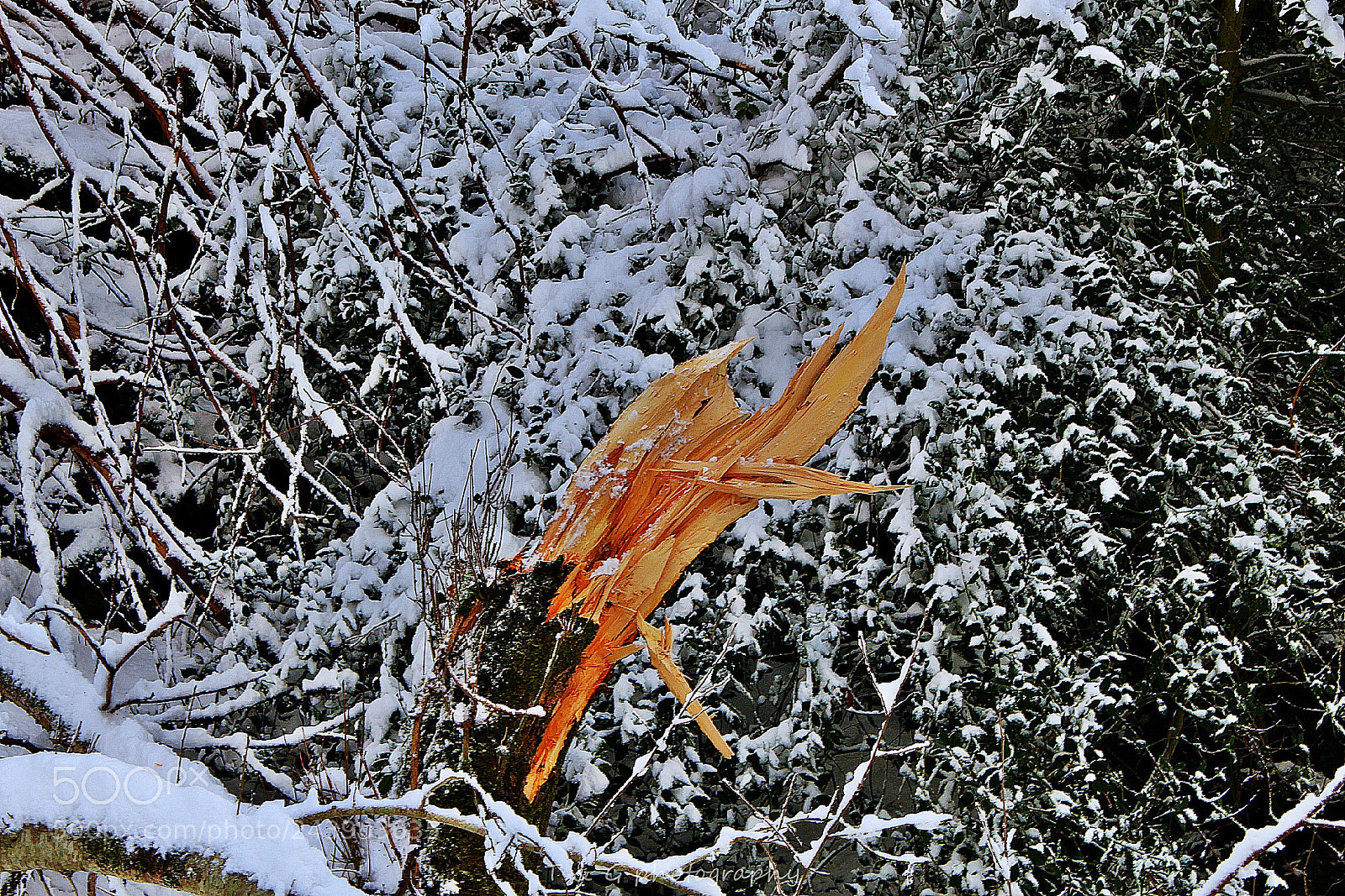 Canon EOS 100D (EOS Rebel SL1 / EOS Kiss X7) sample photo. Broken dreams photography